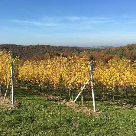 Riegler's Weinhof * Fürstenfeld