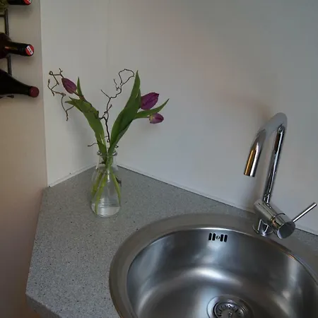 Appartement Riegler's Weinhof *