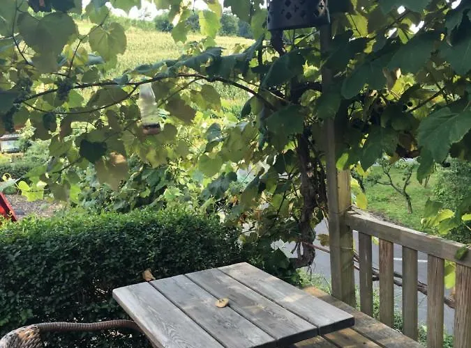 Riegler's Weinhof * Fürstenfeld