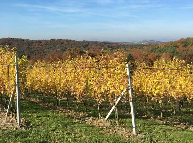 Riegler's Weinhof * Fürstenfeld