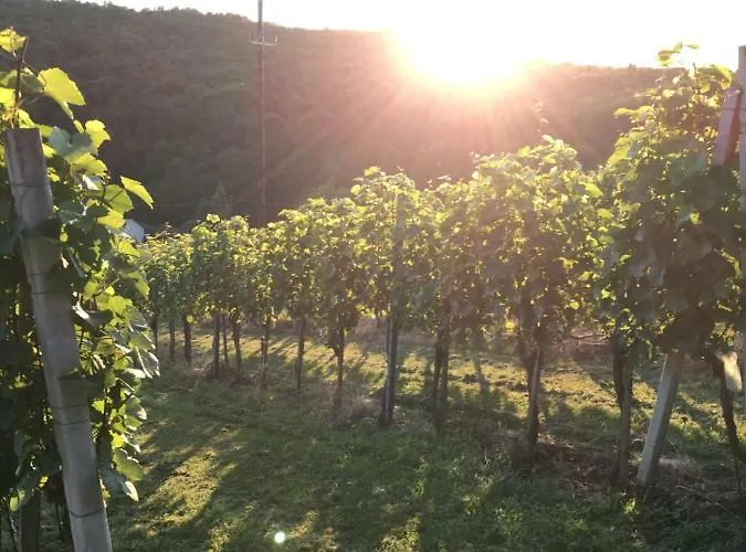 Apartamento Riegler's Weinhof *